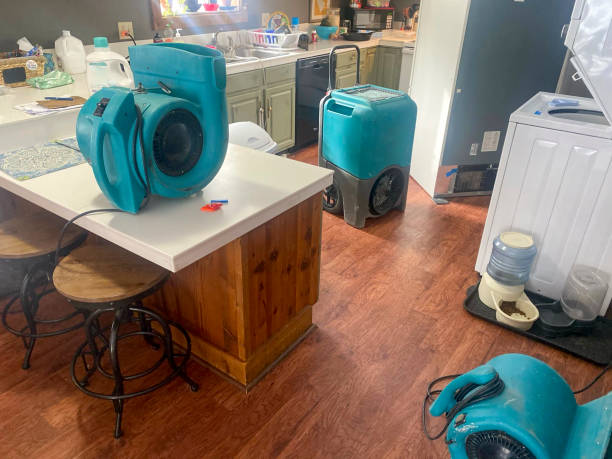 Best Fire Damage Restoration  in Soldotna, AK
