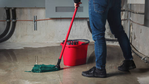 Best Water damage contractors near me  in Soldotna, AK