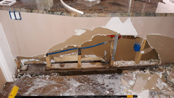 Best 24-hour water damage restoration  in Soldotna, AK