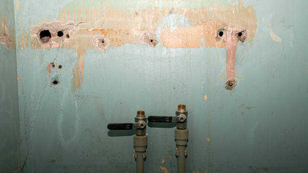 Professional Water damage restoration in Soldotna, AK