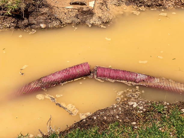 Best Residential water damage restoration  in Soldotna, AK