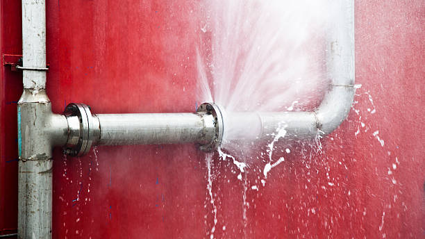 Best Basement water damage restoration  in Soldotna, AK